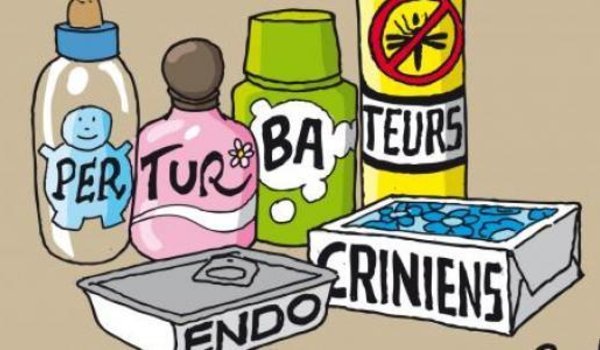 Les 22 perturbateurs endocriniens